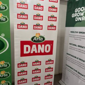 dano_roll_up